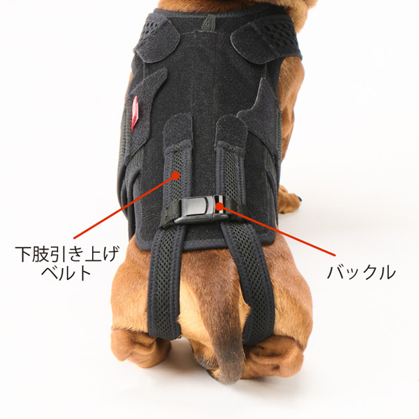 医学文献検索サービス メディカルオンライン 医学文献検索サービス メディカルオンライン